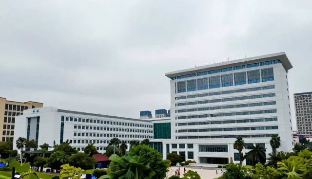 信息咨询业务中能力建设的痛点及提升方向
