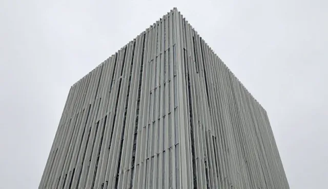 选型关注点：展示产品与名录选择的实际取舍