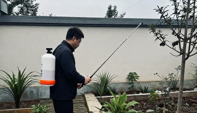 种植技术指导在市场需求中的实际应用与挑战