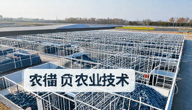 农产品收购中的技术更新与维护管理策略