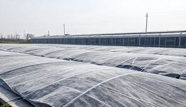 渠道供货中物流优化的选型关注点