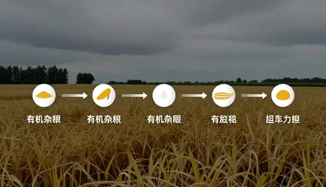 种苗供应中的合作模式选择与适用条件分析