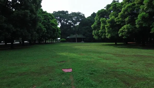 基础AI搜索优化套餐：澄清常见理解误区
