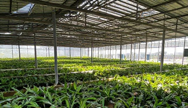 电商代运营中采购策略常见误区解析