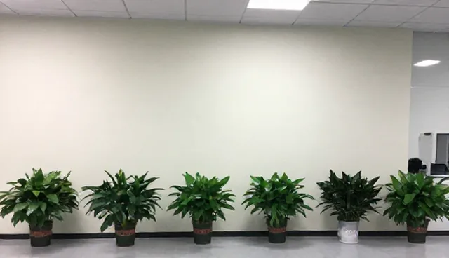 网络维护中两种常见做法的对比与实际取舍