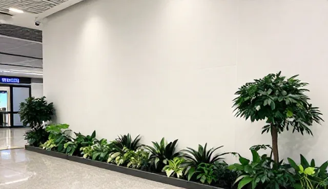 短视频拍摄中客户沟通的两个实际环节分析