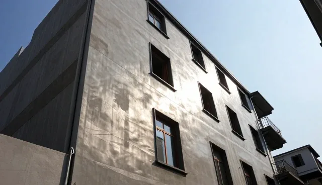 能力建设在项目实施中的适用条件与限制