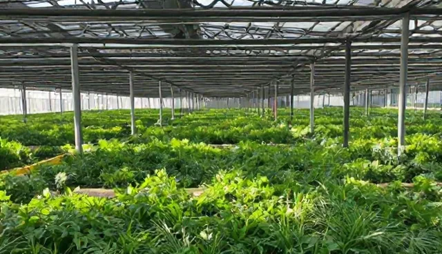 视频剪辑设计团队如何高效选型与维护