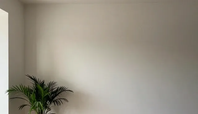 外墙清洗服务如何避免高空作业风险？