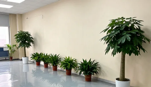企业名录展示效果常见误区与正确理解