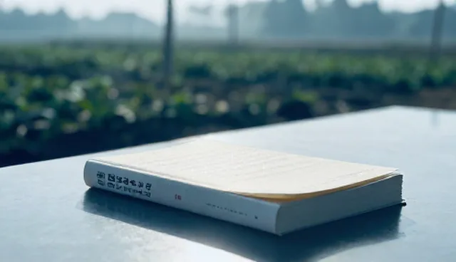 性能评估中的适用条件比较与实际取舍