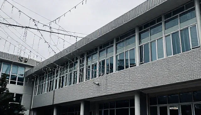 内容策划：短视频营销方案的性能与适用条件分析