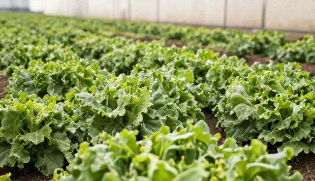 食品研发：渠道供货选型关注点分析