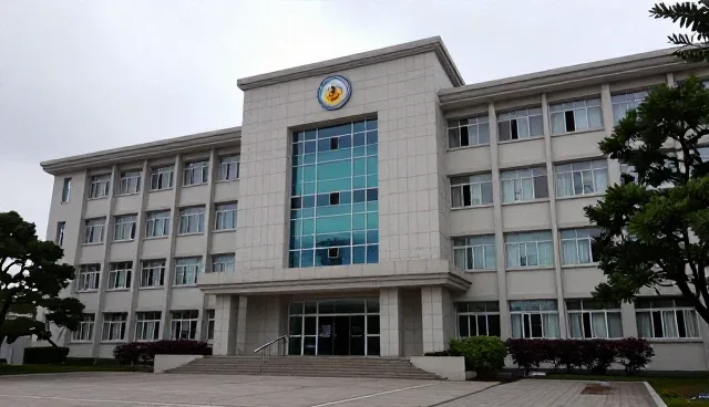 电商运营中运营策略的选择依据与适用场景分析