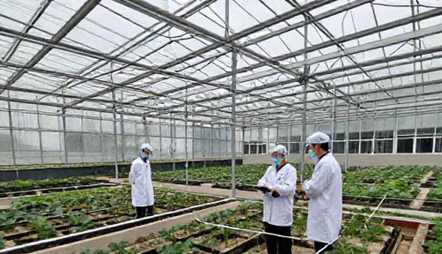 种植技术指导中的常见误区与应对策略