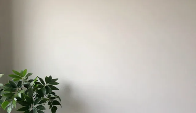 设计差异在产品性能与适用条件中的体现