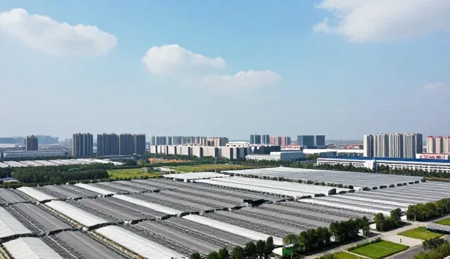 APP开发选型关注点有哪些？