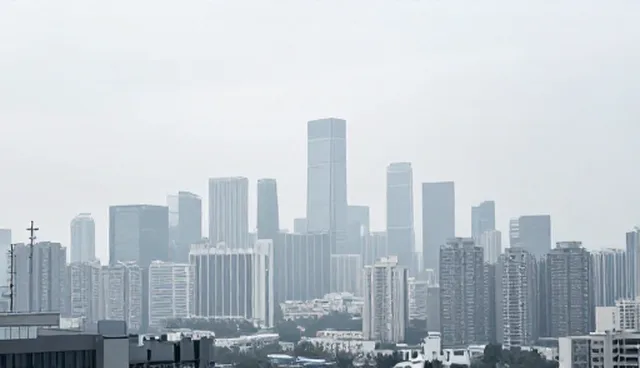 项目管理中技术培训服务的检查要点分析