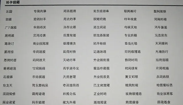 DeepSeek提示词使用对比：效率与质量的取舍
