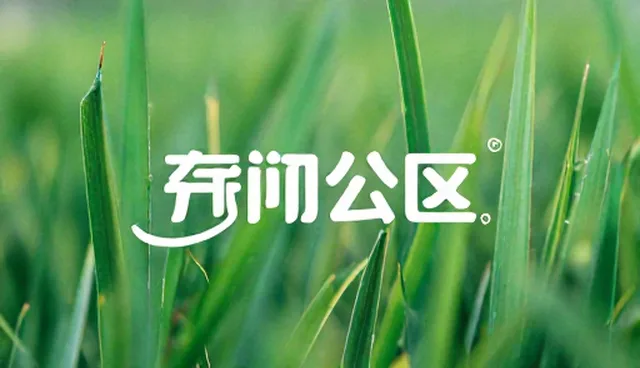 内容分发中品牌策划如何提升传播效果？