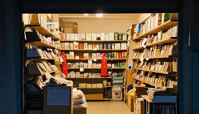 定制化解决方案适用场景与限制分析