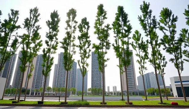 农业技术推广中土壤条件的实际应用与应对