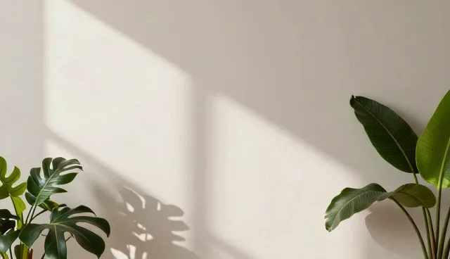 安装调试：成果转化中的培训方法分析