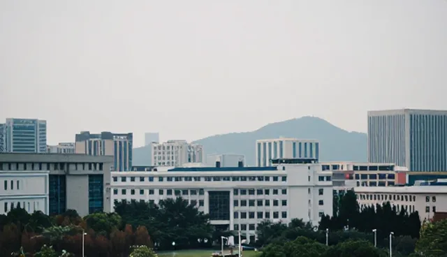 响应较为缓慢的技术培训与维护建议