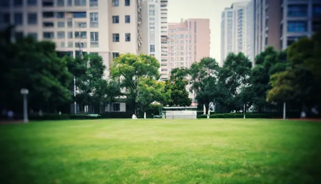 商务代理业务中使用建议的两种做法及取舍