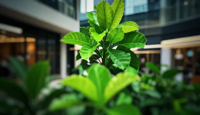 如何选择适合企业的团队管理系统？