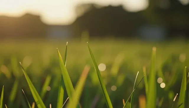 供应链管理中配送体系选型的两种做法与实际取舍