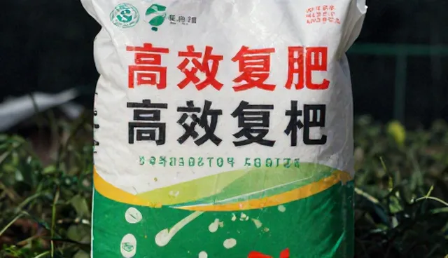 种苗供应基地建设：集中布局 vs 分散布局的实际取舍