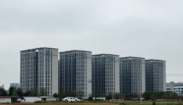 信息咨询使用与维护建议：服务选择的两种做法对比