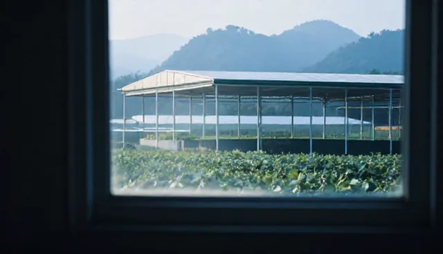 影视策划适配方案的使用条件与选择依据