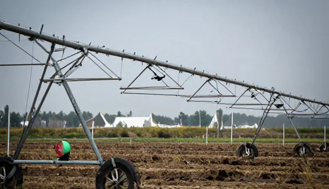 基地合作建设中种植技术指导的适用与限制