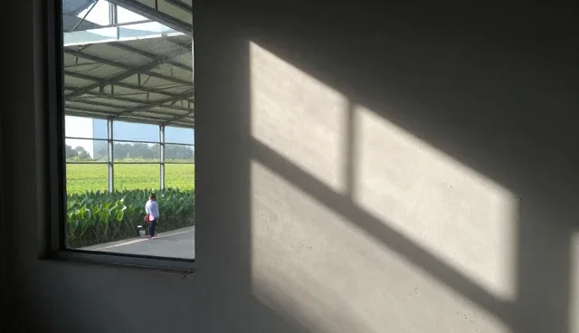 活动策划执行中剪辑节奏如何影响观众体验