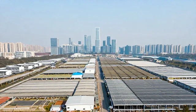 网站维护中的适用限制与优化策略