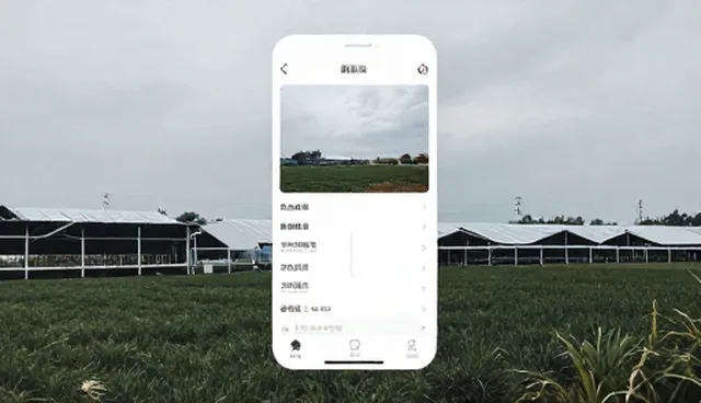 服务器管理中用户体验的优化策略与常见问题处理