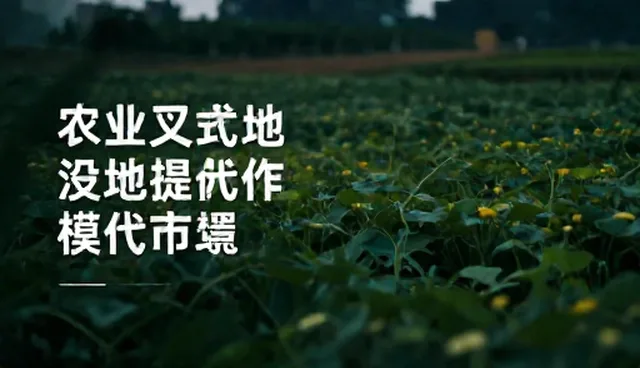 提示词分析如何影响文案改写提示词的使用