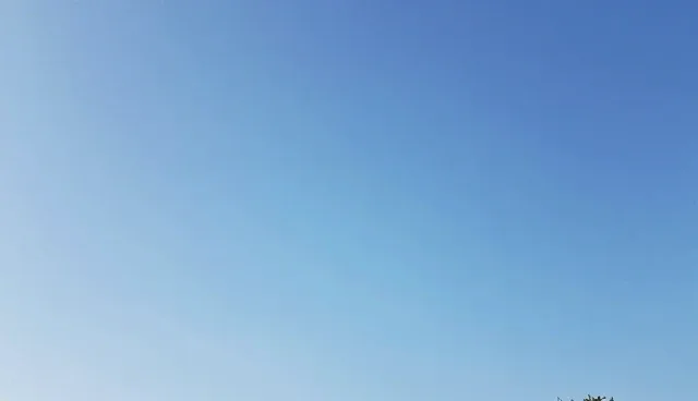 信息传递：选型关注点常见问题与处理方法