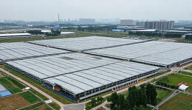 技术实施服务包在实际应用中的挑战与应对策略