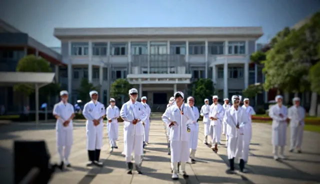 广告策略中媒介投放的两种做法对比及取舍