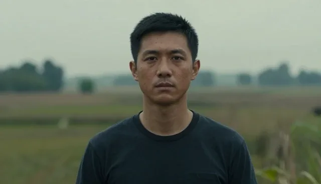 技术服务场景应用检查要点分析