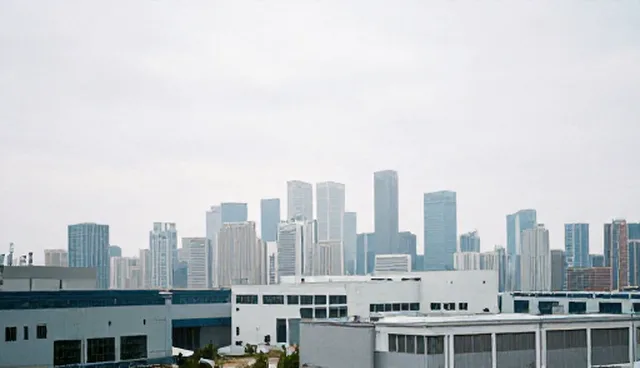 企业信息发布：自主发布与平台对接的取舍分析