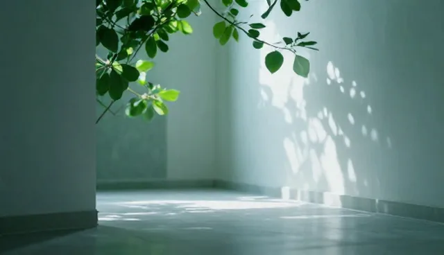 结果影响分析：方案设计中的性能与适用条件