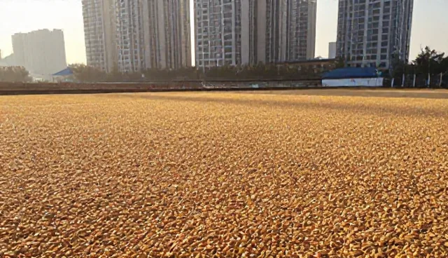 规范流程中的误区澄清与业务发展趋势