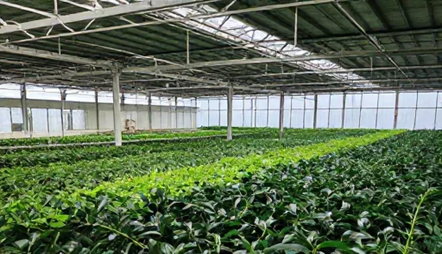 技术支持选型建议：5大检查要点提升性能与适用性
