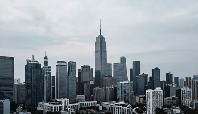 财务信息咨询的适用条件与选型建议