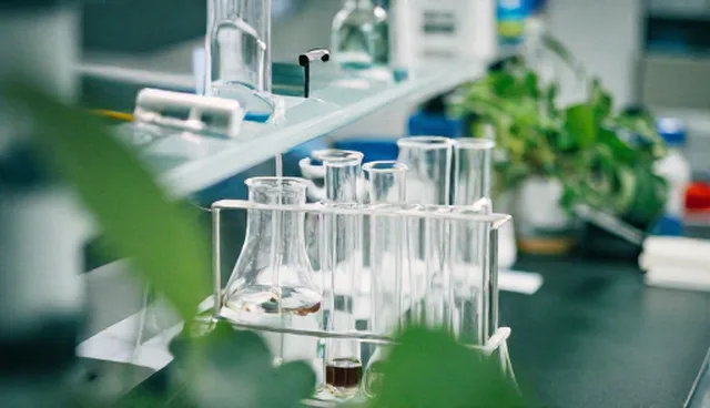 AI搜索优化套餐B的使用与维护检查要点