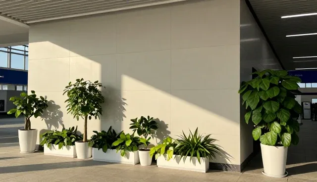 人员配置中的品牌应用与适用条件解析
